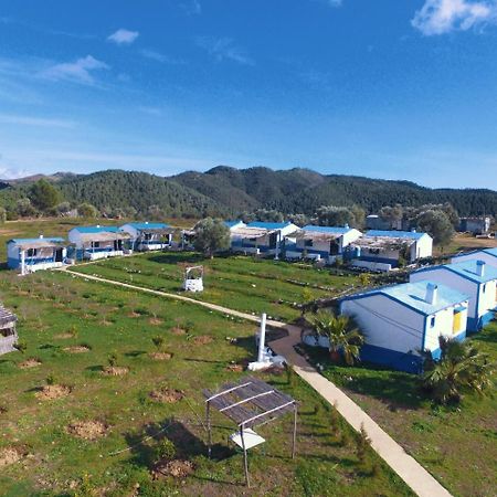 Ferma Jebala Ecolodge Kitane 外观 照片