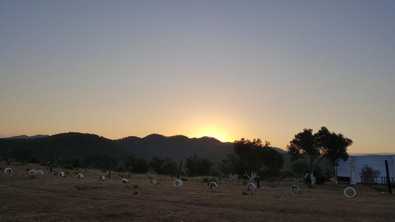 Ferma Jebala Ecolodge Kitane 外观 照片