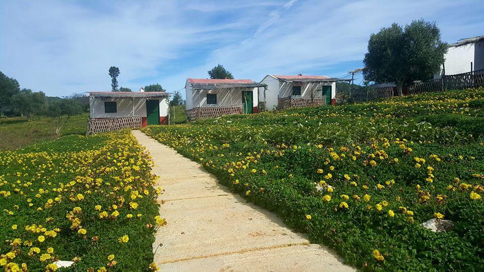 Ferma Jebala Ecolodge Kitane 外观 照片