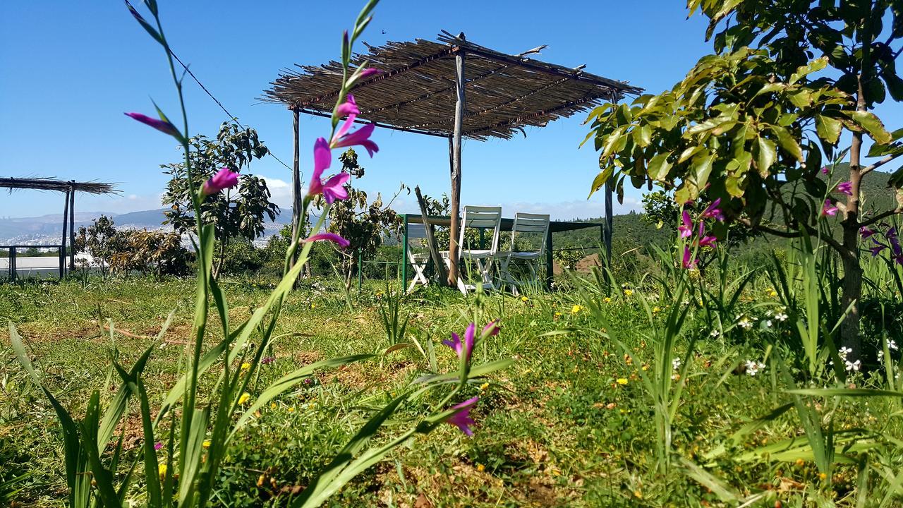 Ferma Jebala Ecolodge Kitane 外观 照片