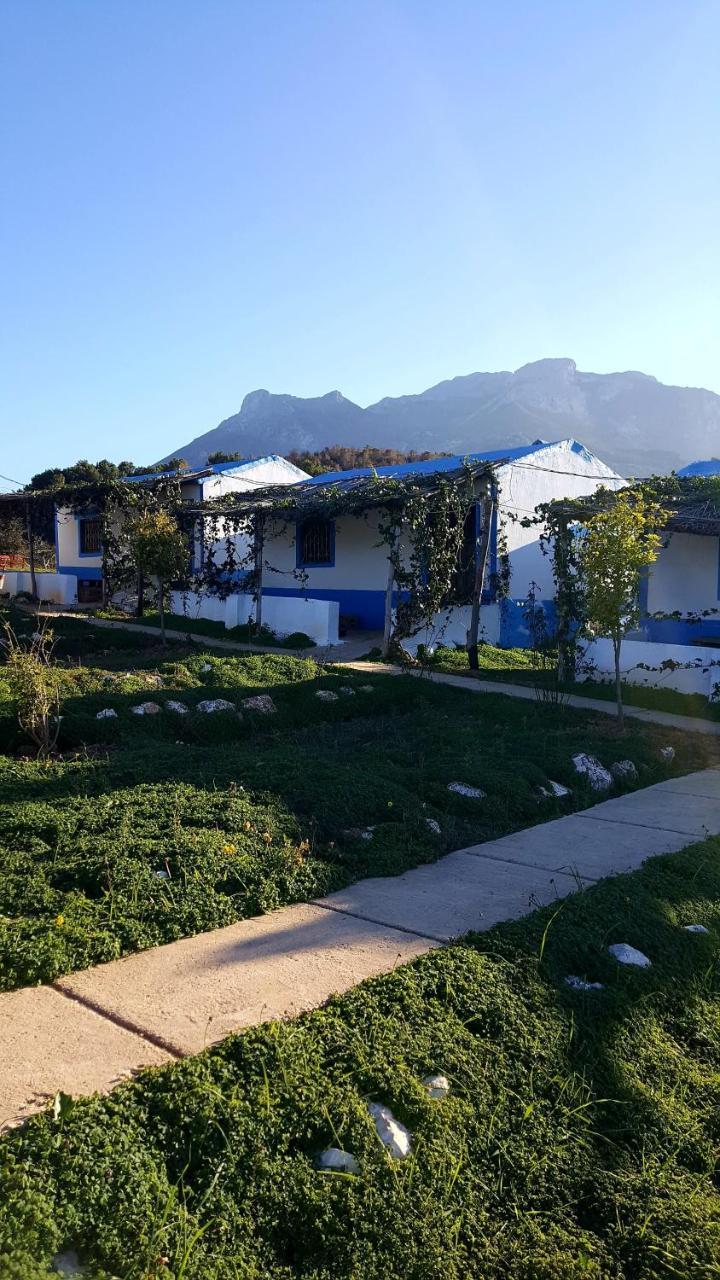 Ferma Jebala Ecolodge Kitane 外观 照片