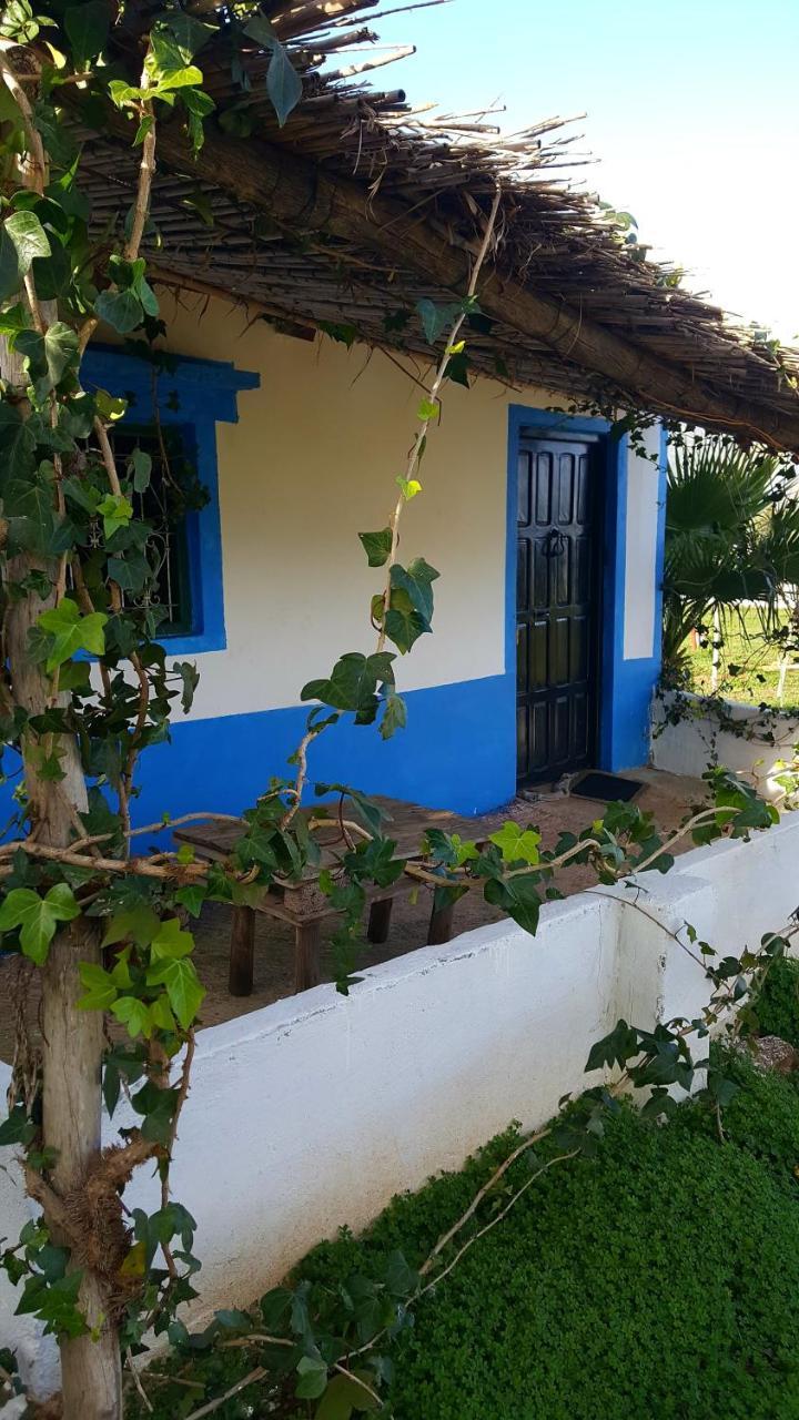 Ferma Jebala Ecolodge Kitane 外观 照片